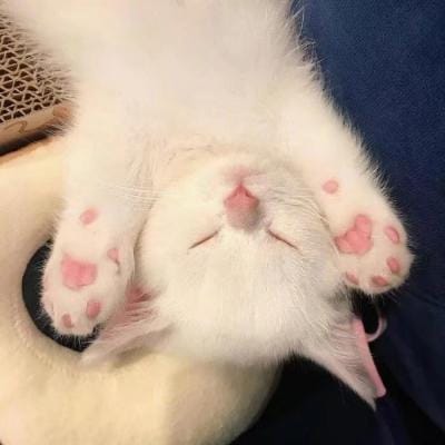 Michael Hartono avatar